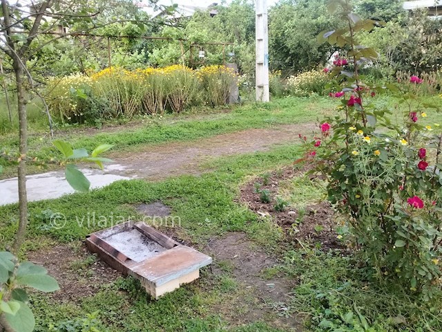 عکس شماره 280847 - اجاره ویلای ساحلی در تالش - 