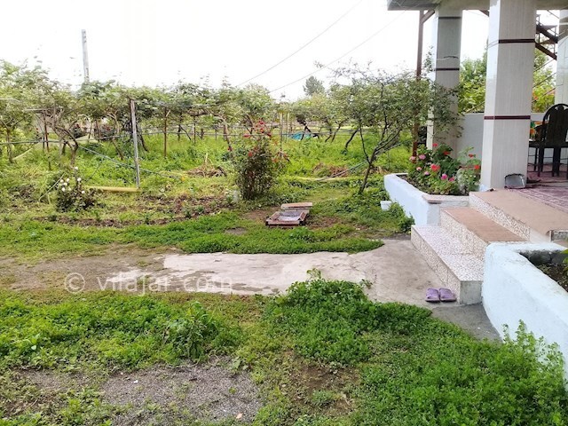 عکس شماره 280849 - اجاره ویلای ساحلی در تالش - 