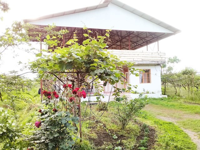 عکس شماره 280863 - اجاره ویلای ساحلی در تالش - 