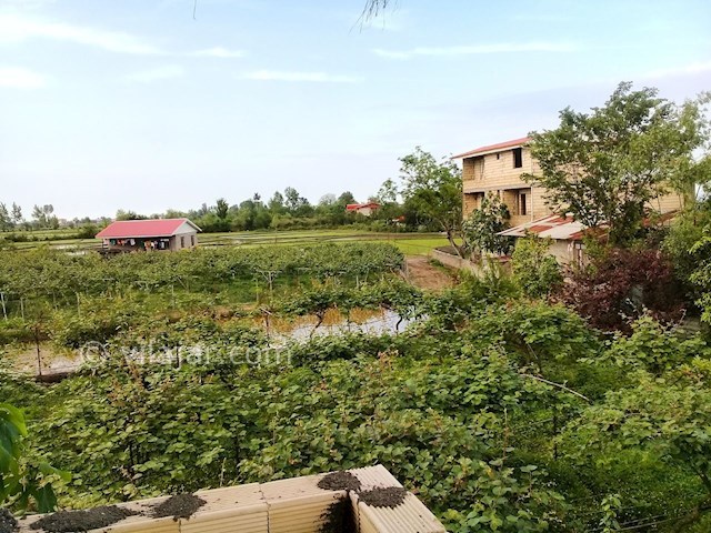 عکس شماره 280865 - اجاره ویلای ساحلی در تالش - 