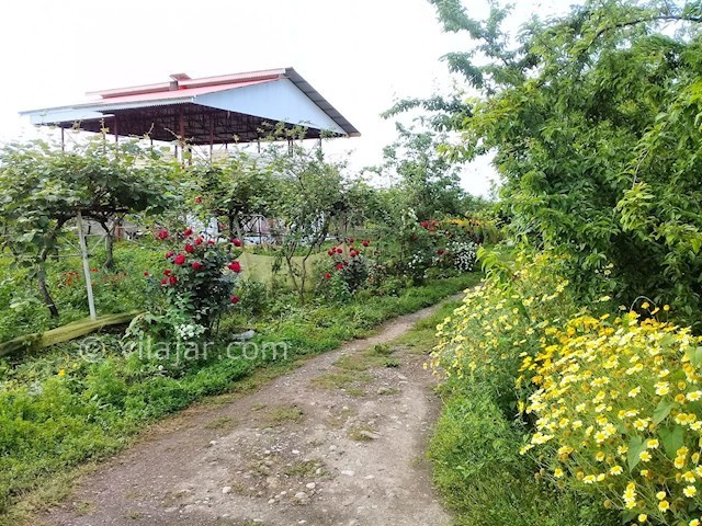 عکس شماره 280871 - اجاره ویلای ساحلی در تالش - 