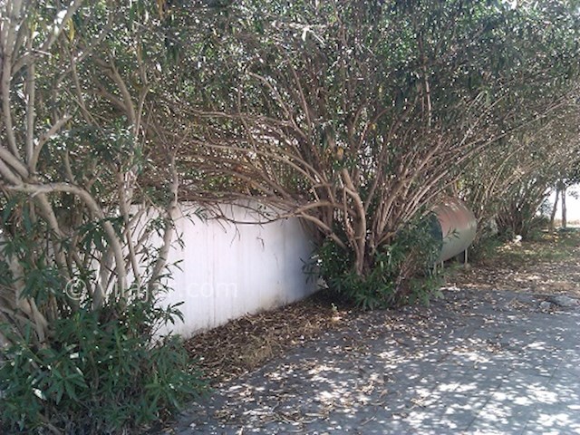 عکس شماره 28165 - اجاره ویلا در دریا کنار -