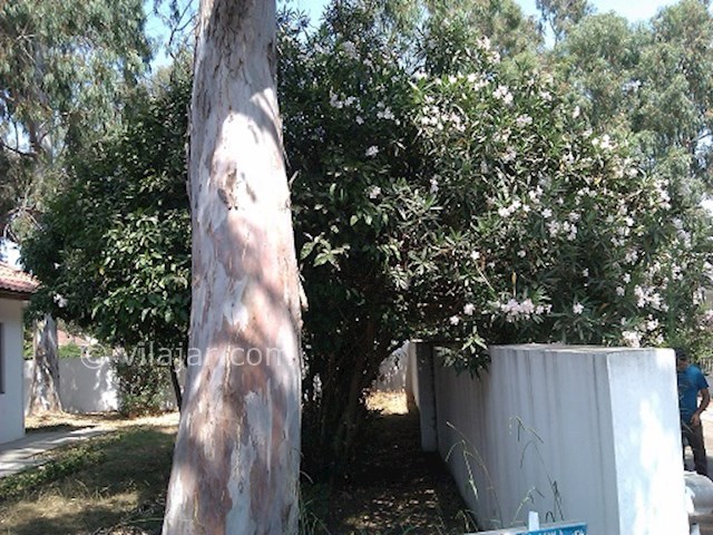 عکس شماره 28167 - اجاره ویلا در دریا کنار -