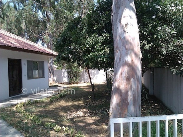 عکس شماره 28169 - اجاره ویلا در دریا کنار -