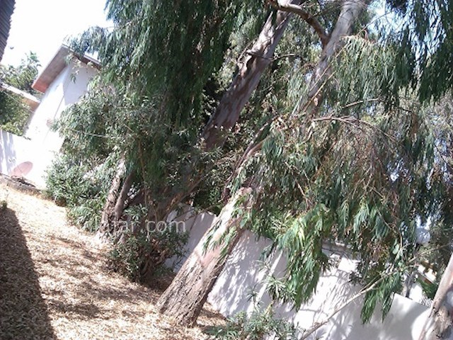 عکس شماره 28179 - اجاره ویلا در دریا کنار -