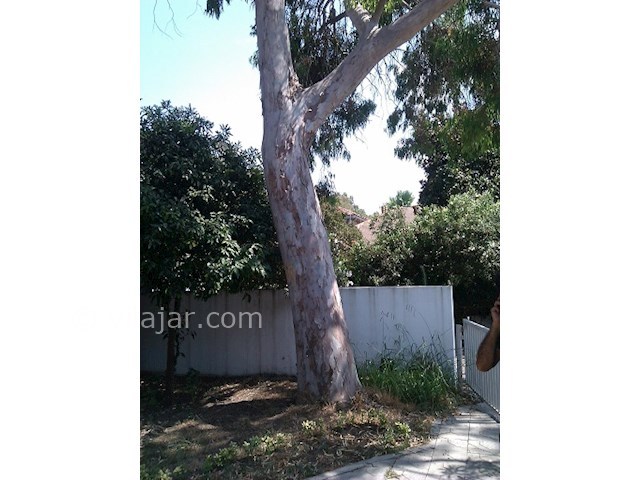 عکس شماره 28181 - اجاره ویلا در دریا کنار -