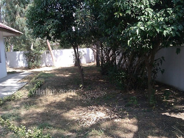 عکس شماره 28183 - اجاره ویلا در دریا کنار -