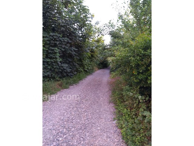 عکس شماره 282701 - اجاره ویلا در لاهیجان گیلان - 