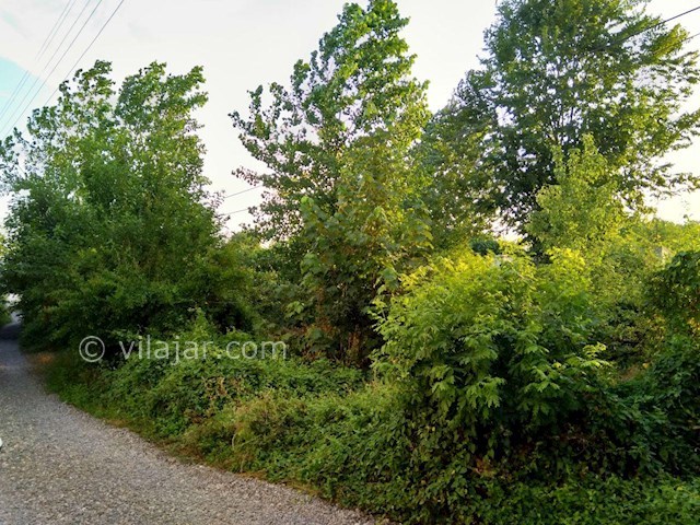 عکس شماره 282709 - اجاره ویلا در لاهیجان گیلان - 