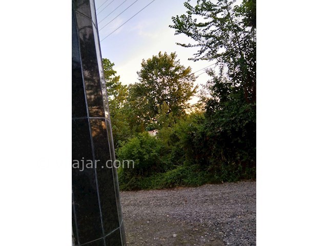 عکس شماره 282727 - اجاره ویلا در لاهیجان گیلان - 