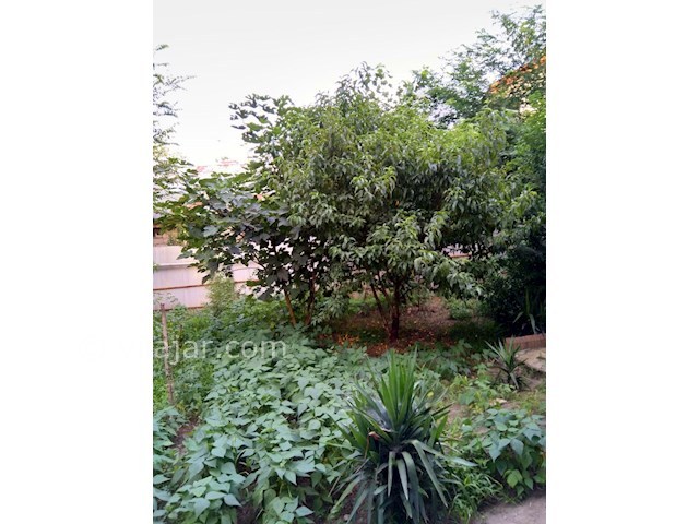 عکس شماره 282739 - اجاره ویلا در لاهیجان گیلان - 