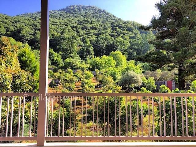 عکس شماره 283085 - رزرو ویلای جنگلی در اربکله - 