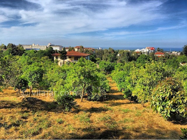 عکس شماره 283091 - رزرو ویلای جنگلی در اربکله - 