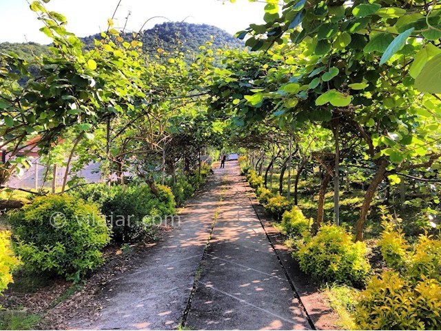 عکس شماره 283097 - رزرو ویلای جنگلی در اربکله - 