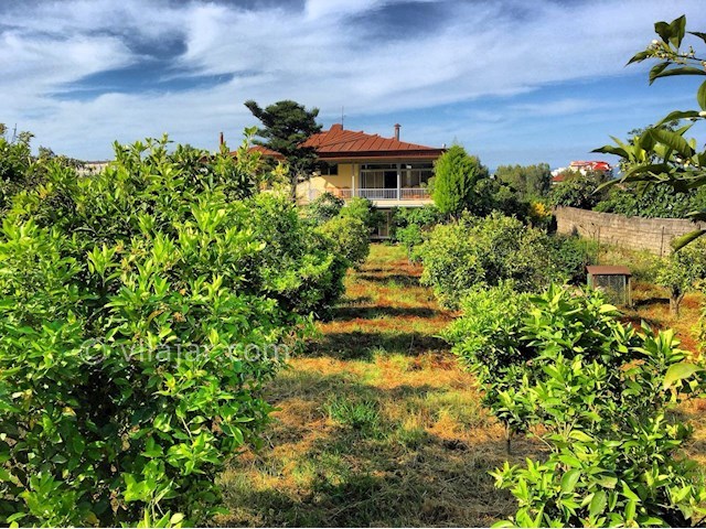 عکس شماره 283107 - رزرو ویلای جنگلی در اربکله - 