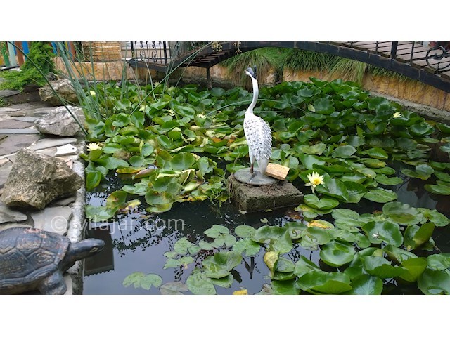 عکس شماره 283859 - اجاره ویلا ساحلی در رامسر - 