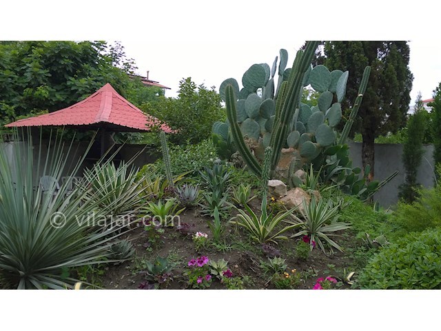 عکس شماره 283863 - اجاره ویلا ساحلی در رامسر - 