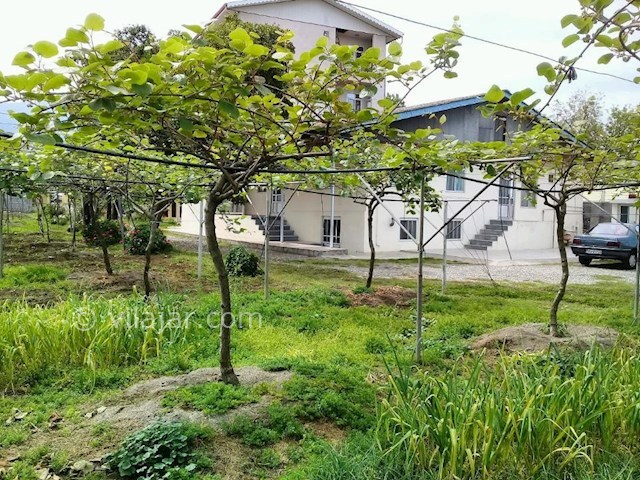 عکس شماره 284977 - اجاره ویلای روستایی در تالش - 