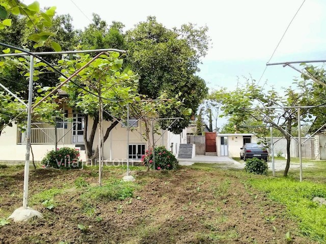 عکس شماره 284979 - اجاره ویلای روستایی در تالش - 