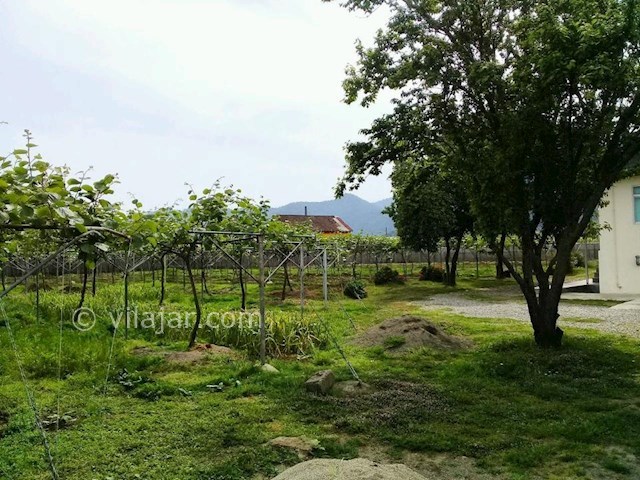 عکس شماره 284985 - اجاره ویلای روستایی در تالش - 