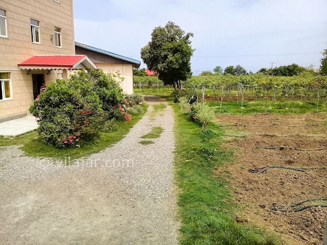 عکس شماره 284993 - اجاره ویلای روستایی در تالش - 