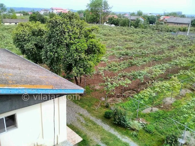 عکس شماره 284999 - اجاره ویلای روستایی در تالش - 