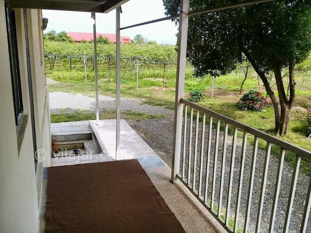 عکس شماره 285011 - اجاره ویلای روستایی در تالش - 