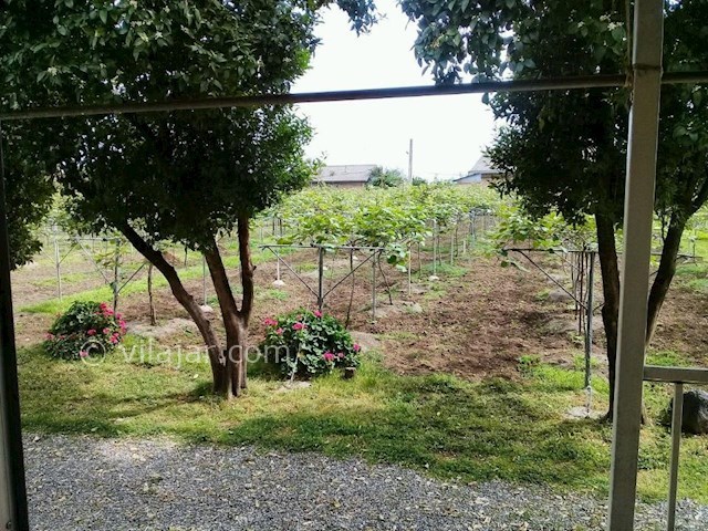 عکس شماره 285013 - اجاره ویلای روستایی در تالش - 