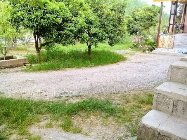 عکس شماره 285793 - اجاره خانه ویلایی در تالش - 