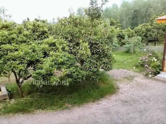 عکس شماره 285795 - اجاره خانه ویلایی در تالش - 