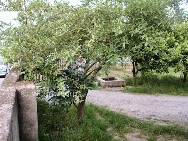 عکس شماره 285797 - اجاره خانه ویلایی در تالش - 