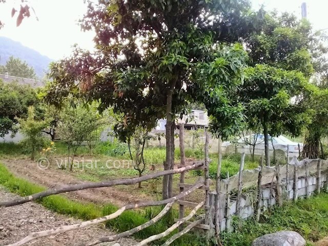 عکس شماره 285803 - اجاره خانه ویلایی در تالش - 