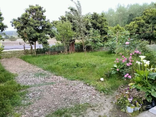 عکس شماره 285815 - اجاره خانه ویلایی در تالش - 