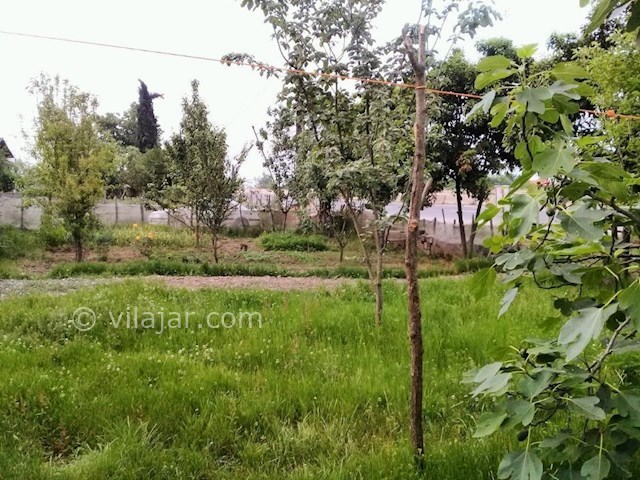 عکس شماره 285817 - اجاره خانه ویلایی در تالش - 