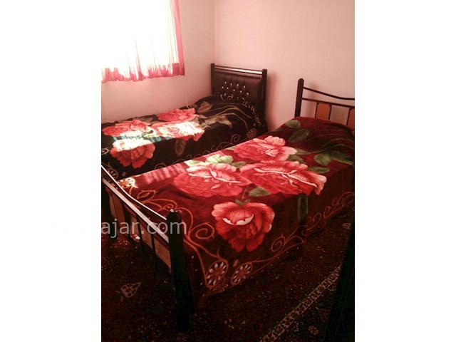 عکس شماره 285919 - اجاره اقامتگاه جنگلی در ماسال - 