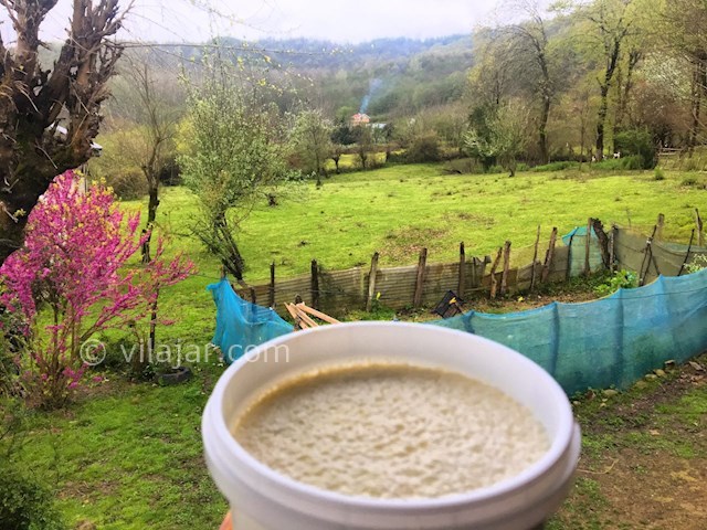 عکس شماره 287493 - اجاره ویلا در ماسال در جنگل - 