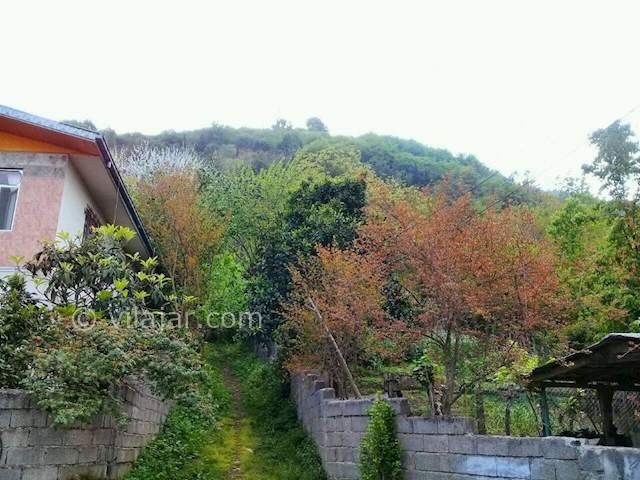 عکس شماره 287705 - اجاره سوئیت جنگلی در تالش - 