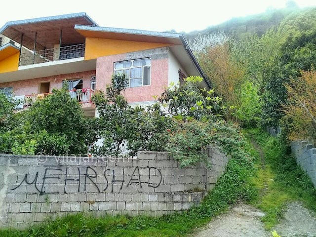 عکس شماره 287707 - اجاره سوئیت جنگلی در تالش - 