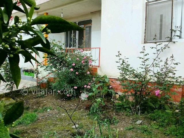 عکس شماره 287717 - اجاره سوئیت جنگلی در تالش - 