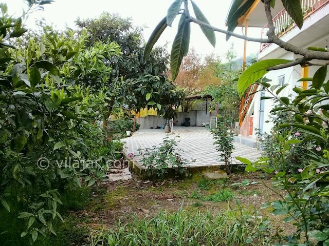 عکس شماره 287721 - اجاره سوئیت جنگلی در تالش - 