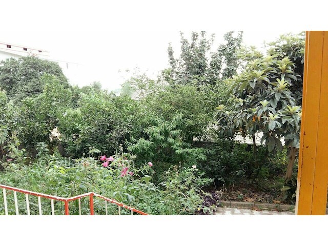 عکس شماره 287781 - اجاره سوئیت جنگلی در تالش - 