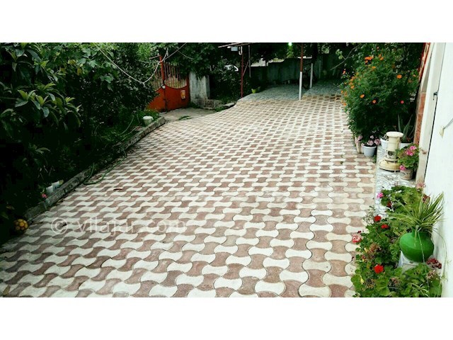 عکس شماره 287809 - اجاره سوئیت جنگلی در تالش - 