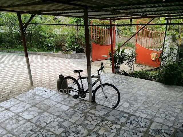 عکس شماره 287847 - اجاره سوئیت جنگلی در تالش - 