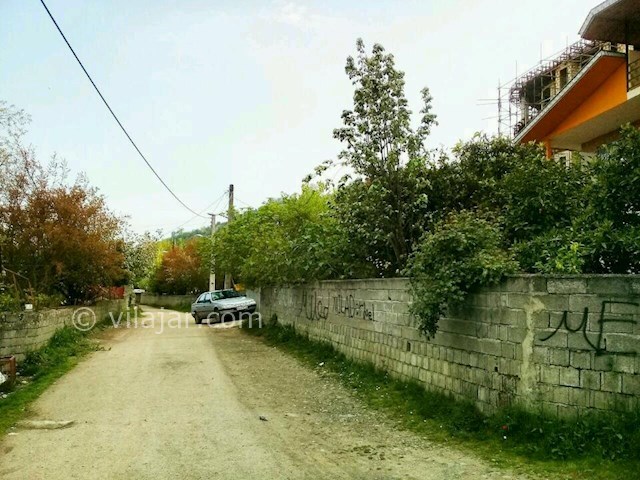 عکس شماره 287855 - اجاره سوئیت جنگلی در تالش - 