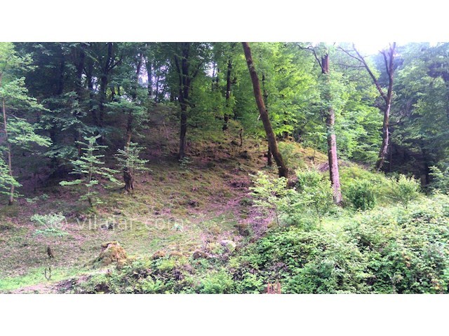 عکس شماره 288593 - اجاره ویلا اسالم بر رودخانه - 