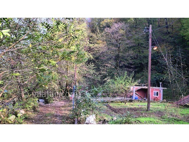 عکس شماره 288629 - اجاره ویلا اسالم بر رودخانه - 