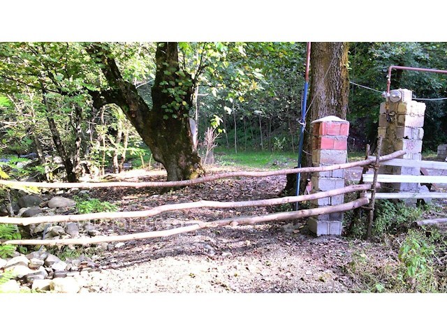 عکس شماره 288631 - اجاره ویلا اسالم بر رودخانه - 