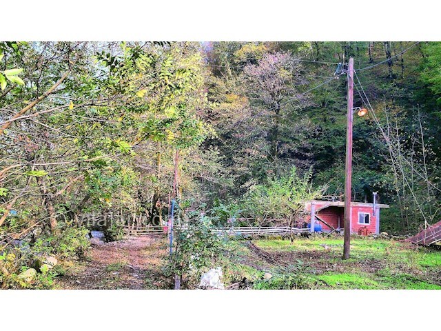 عکس شماره 288649 - اجاره ویلا اسالم بر رودخانه - 