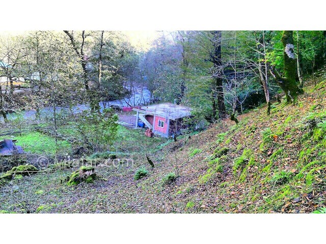 عکس شماره 288651 - اجاره ویلا اسالم بر رودخانه - 