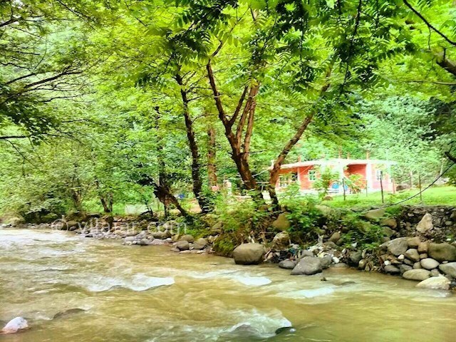 عکس شماره 289089 - اجاره ویلا اسالم بر رودخانه - 